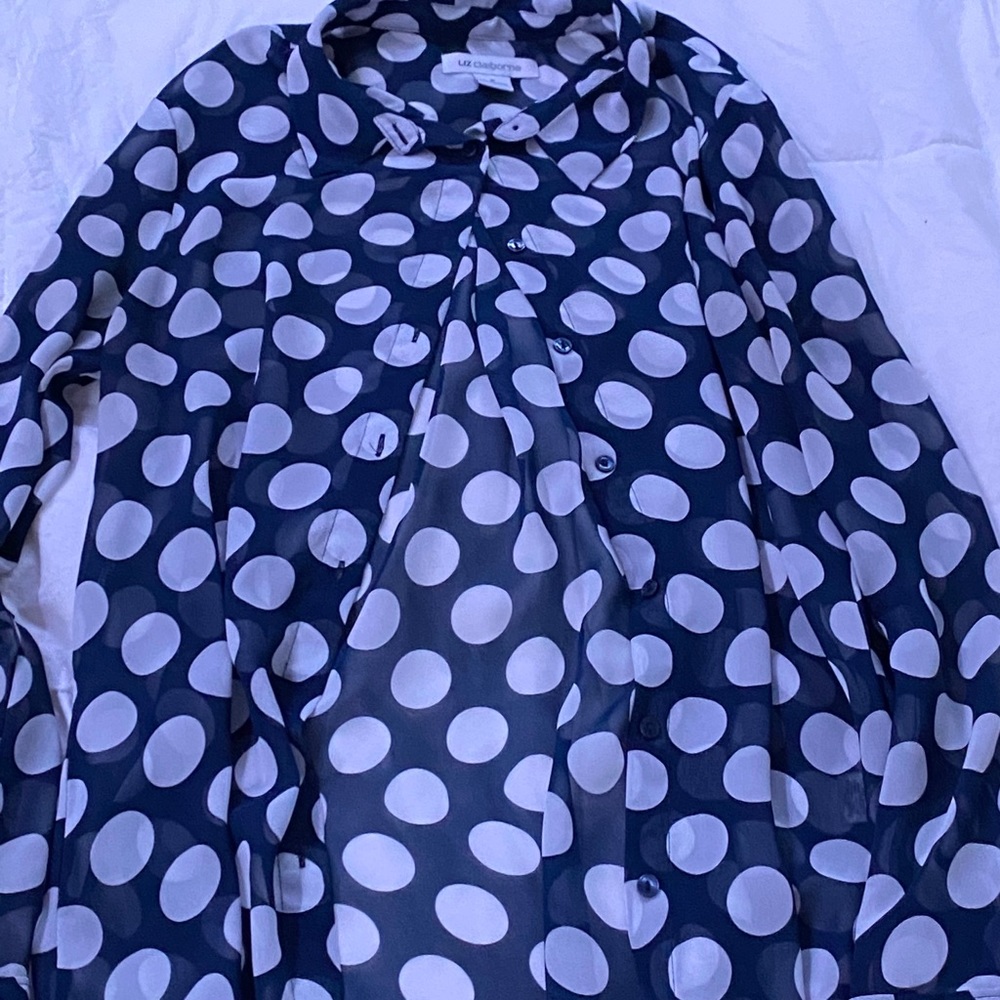 Sheer Polka Dot Button Up Shirt